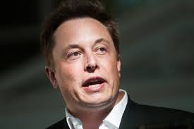 Elon Musk image 2